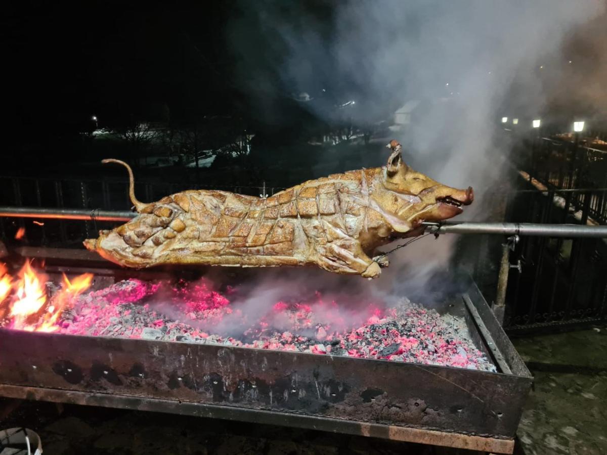 Pensiunea Ursul Carcotas فونداتا المظهر الخارجي الصورة